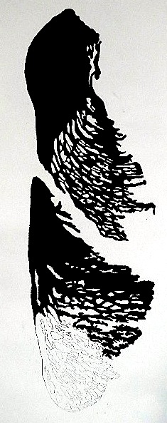 Disamare dessin de Pierre Leblanc