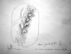 Dessin original de Pierre Leblanc